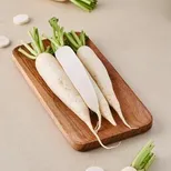Fresh radish white